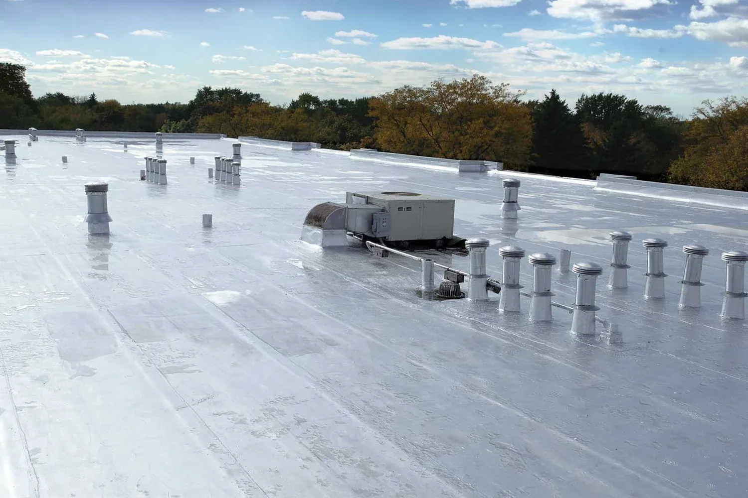 Commercial Snow and Ice Roof Damage Repair in Carmel, IN